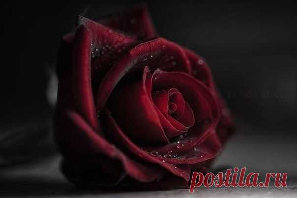 ᴼᴿᴵᴳᴵᴺᴬᴸ   SМАЙЛИКИ   (ړײ)
ღМилана ღ