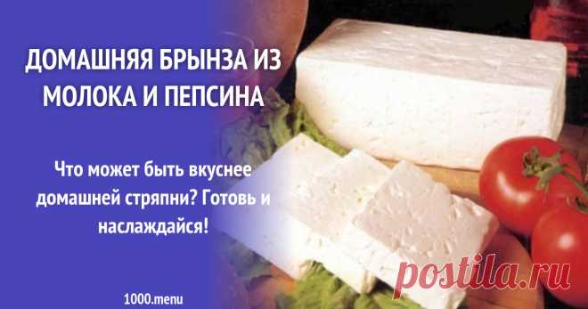 Брынза из двух продуктов молока и пепсина рецепт с фото Как приготовить брынзу из двух продуктов: молока и пепсина: поиск по ингредиентам, советы, отзывы, подсчет калорий, изменение порций, похожие рецепты