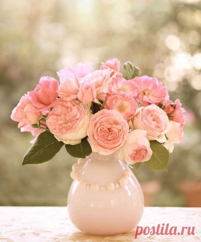 Ну при чём же здесь Париж?  Вернись в Сорренто!                        Сошедший с полотен Сарьяна,                                            впитавший в себя страсть и зной,                                               омытый лазурной волной.                                                           Лимоны, инжир и бананы,                                                             листвы аромат нежно-пряный...                                                     Я снова жду встречи с тобой!