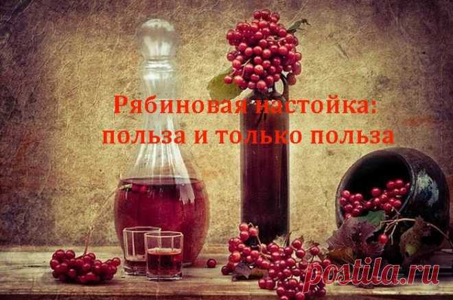 Рябиновая настойка: польза и только польза