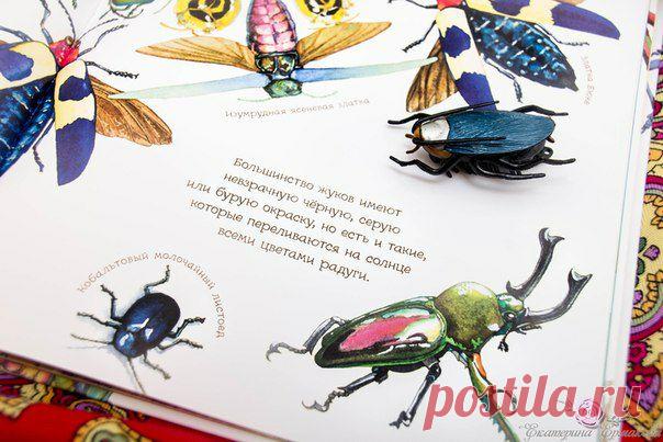 Самые необычные жуки из артбука Дианны Астон «Жук всегда осторожен»: — Жуки-великаны. Дровосек-титан — одно из самых крупных насекомых на свете. Своими мощными челюстями он способен перекусить карандаш. — Жуки-малыши. Самый маленький в мире жук — североамериканская перокрылка. Он легко может пролезть сквозь игольное ушко. — Жуки-прыгуны. Некоторые жуки передвигаются прыжками. Пружинистые задние ноги земляных блошек подбрасывают насекомых вверх на целых 33 сантиметра. — Жуки-землекопы. Ноги…