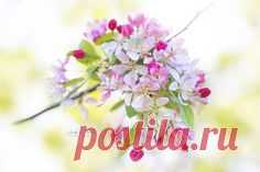 Pinterest • Всемирный каталог идей