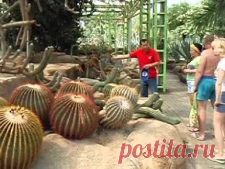 Тайланд, Парк Нонг- Чанг. - YouTube