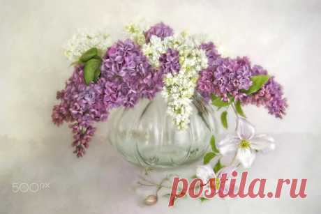 spring is in the air