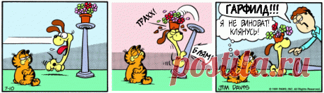 1980-07-10