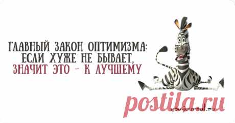 10 веселых картинок о жизни