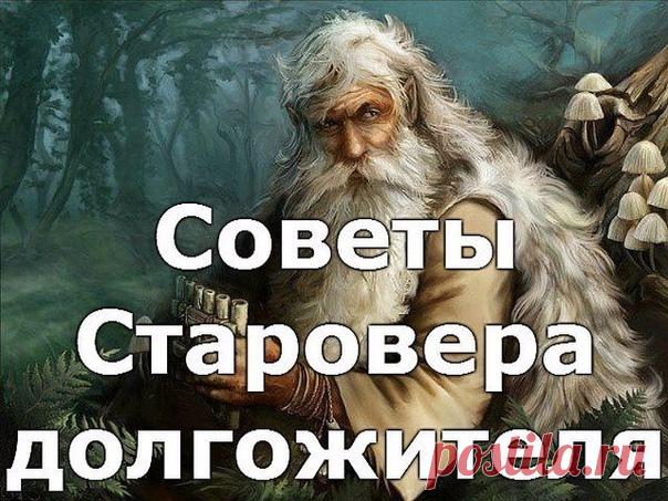 Советы Старовера долгожителя...