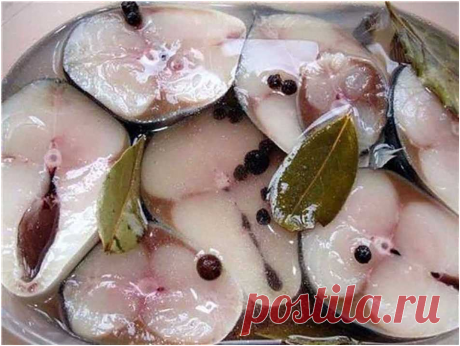 В такому маринаді скумбрія виходить смачнішою за червону рибу | Новини Тернополя