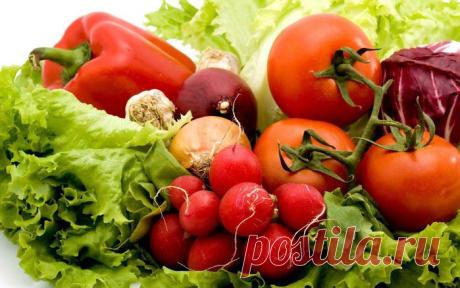 СРОКИ ПОСАДКИ РАССАДЫ ОВОЩЕЙ.