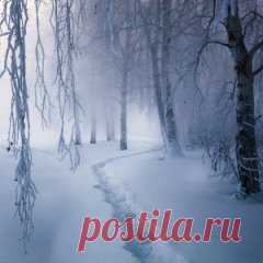 И тишина...