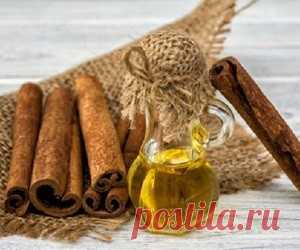 Как приготовить целебное масло из корицы Корица является одной из самых известных в мире специй. Эта пряность и её масло широко используются медицине, кулинарии и косметологии.