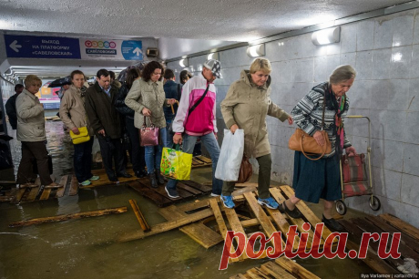 Почему РЖД относится к людям как к скотине?