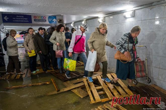 Почему РЖД относится к людям как к скотине?