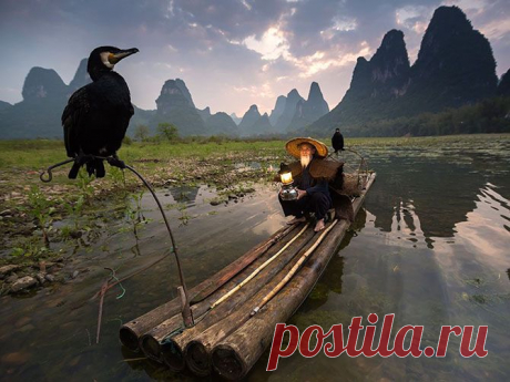 В объективе лучшие фотографии июля 2015-го от журнала National Geographic — Фотоискусство