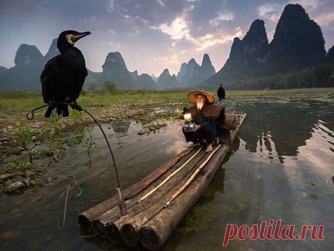 В объективе лучшие фотографии июля 2015-го от журнала National Geographic — Фотоискусство