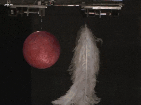 Наука изнутри (5 gif роликов)