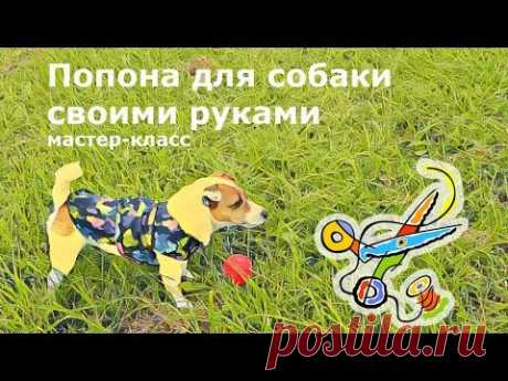 Как сшить попону для собаки своими руками