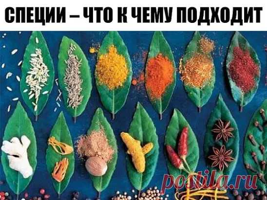 ХОЗЯЙКАМ НА ЗАМЕТКУ!
СПЕЦИИ – ЧТО К ЧЕМУ ПОДХОДИТ

ДЛЯ МЯСА: красный, черный, душистый перец или гвоздика, майоран, тимьян, тмин, куркума, лук, орегано.

ДЛЯ ПТИЦЫ: тимьян, майоран, розмарин, шалфей, чабрец, базилик.

ДЛЯ РЫБЫ: лавровый лист, белый перец, имбирь, душистый перец, лук, кориандр, перец чили, горчица, укроп, тимьян.

ДЛЯ ГРИЛЯ: красный перец, душистый перец, кардамон, тимьян, майоран, мускатный орех и мускатный цвет, тмин, имбирь, перец чили.

ДЛЯ ДИЧИ: тимьян...