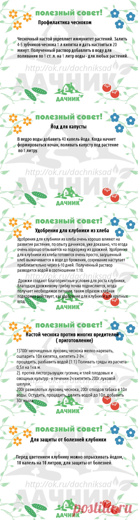 полезные советы