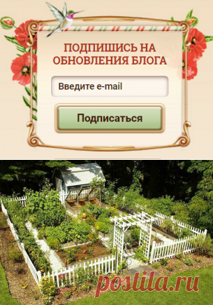 Огород в стандартном своем виде пугает многих: цветники и клумбы – да, огород – нет!

Но  есть прекрасная возможность сделать так, чтобы грядки были не тягостной дачной обязанностью, а приносили эстетическую радость и пользу в виде сочных свежих овощей и ароматной зелени.