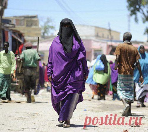 Платформа МирТесен — это самый удобный конструктор сайтов и соцсетей