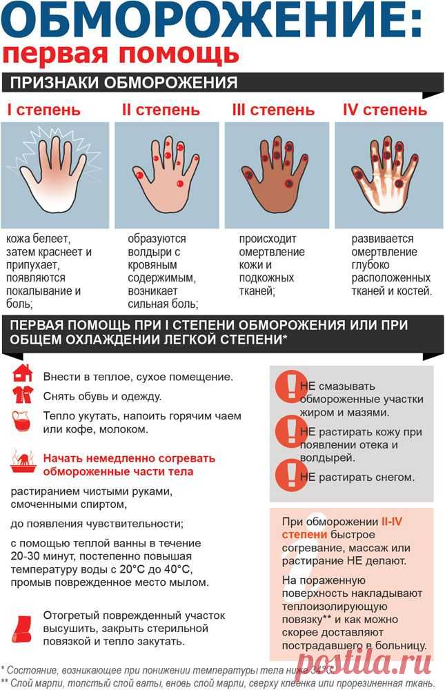 полезные советы инфографика: 4 тыс изображений найдено в Яндекс.Картинках