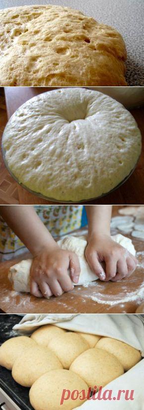 Секреты дрожжевого теста |