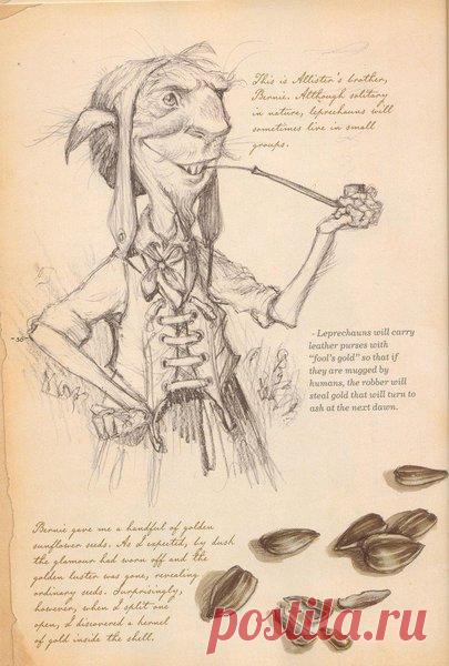 Что подарить домовому | Во тьме ночной | Яндекс Дзен
Недавно в одной из газет мне в глаза бросился заголовок: «Домовой - посланник Ада!» Сколько напраслины возводят на добрых, работящих домовых! Все это чушь! Уж кто-кто, а я знаю, что домовой никогда не обидит тех, в чьем доме он поселился.