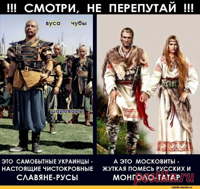 сравнить прическу украинца с прической турка: 14 тыс изображений найдено в Яндекс.Картинках