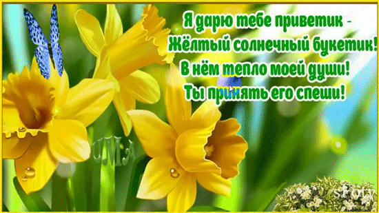 Я дарю тебе приветик - желтый солнечный букетик!