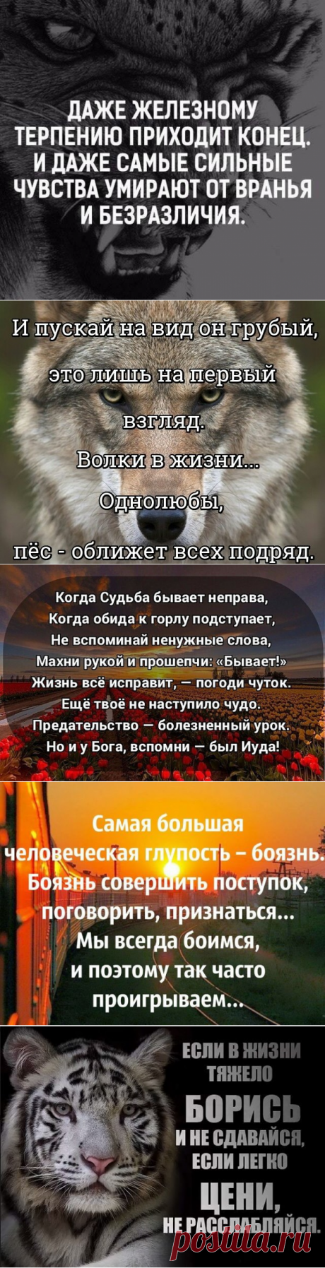 учись жить правильно