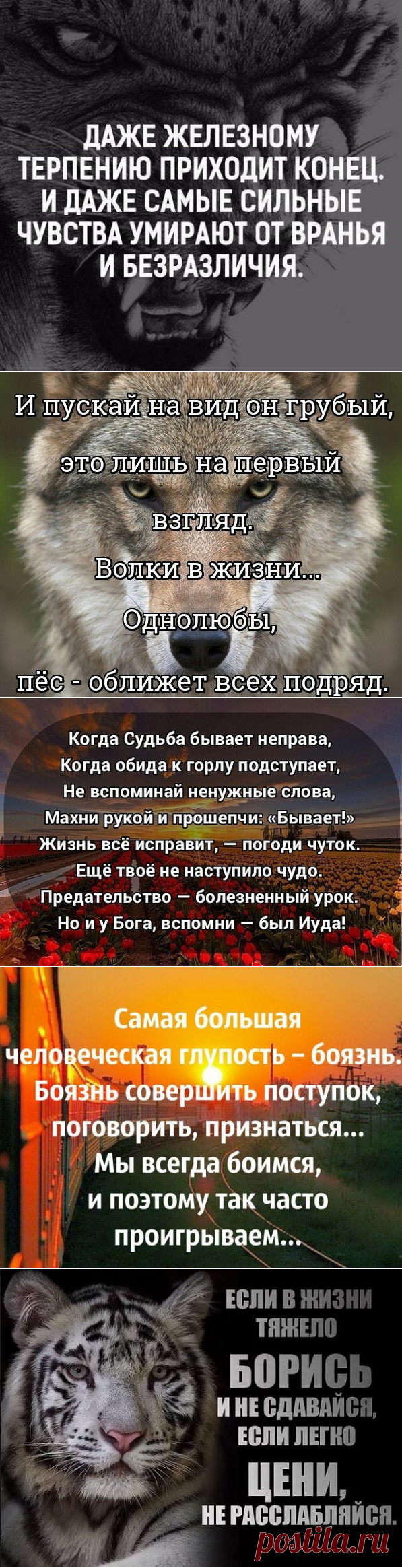 учись жить правильно