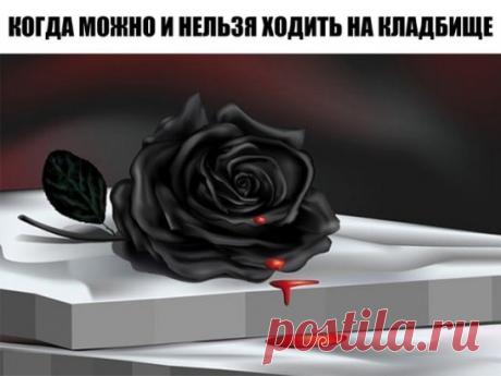 КОГДА МОЖНО И НЕЛЬЗЯ ХОДИТЬ НА КЛАДБИЩЕ
Когда можно ходить на кладбище:
*в день похорон;
*на 3-й, 9-й и 40-й день после смерти;
*каждый год в день ухода человека из жизни;
*в поминальные дни – понедельник и вторник той недели, которая идет за Пасхальной;
*Мясопустная суббота, предшествующая за неделю Великому посту;
*2-я, 3-я и 4-я субботы Великого поста;
*Троицкая суббота – день перед праздником Святой Троицы;
*Дмитровская суббота – первая суббота ноября.
Когда нельзя ходить на кладбище:
*пра