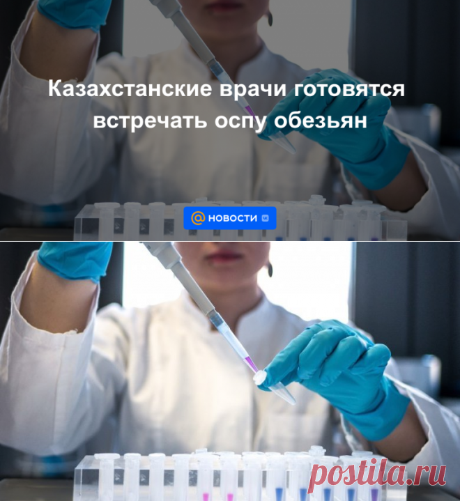 Казахстанские врачи готовятся встречать ОСПУ обезьян - Новости Mail.ru
