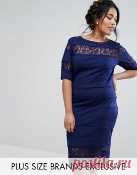 Paper Dolls Plus Lace Insert Pencil Dress at asos.com Discover Fashion Online