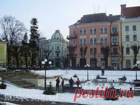 В Черновцах провели социальный эксперимент и увидели реакцию людей на голодного беженца из Донбасса (ВИДЕО) - FK news