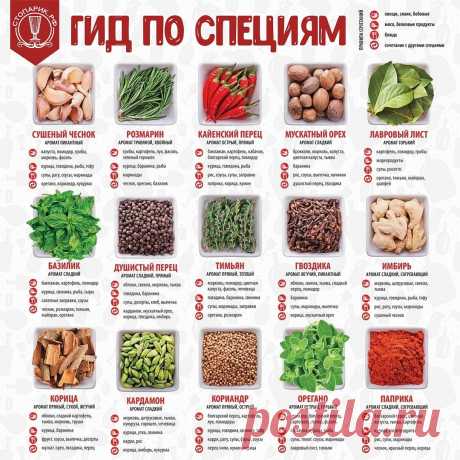 Гид по специям