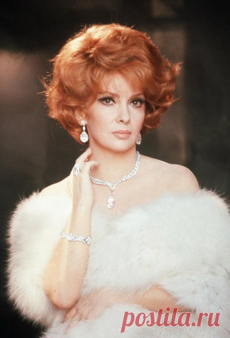 Gina Lollobrigida