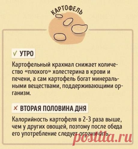 Со спортом по жизни!