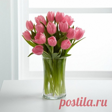 Я люблю ✿ ЦВЕТЫ ✿ | I ♥ Flowers