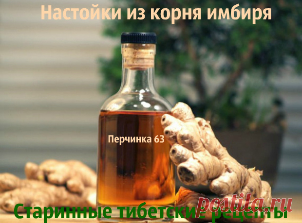 Лечение имбирными настойками по старинным тибетским рецептам - Perchinka63