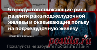 5 продуктов снижающие риск развитя рака поджелудочной железы и оказывающие пользу на поджелудочную железу Список продуктов снижающих риск развития рака поджелудочной железы и помогающих в борьбе с раком поджелудочной железы