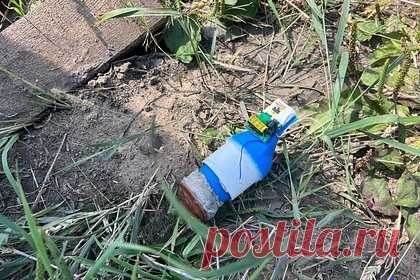 Курские власти показали кадры с места посадки украинского дрона-камикадзе. Власти Курской области показали кадры с места посадки дрона-камикадзе Вооруженных сил Украины (ВСУ). Снимки опубликовал губернатор приграничного российского региона Роман Старовойт. Российские бойцы с помощью средств радиоэлектронной борьбы (РЭБ) посадили беспилотник в Рыльском районе.