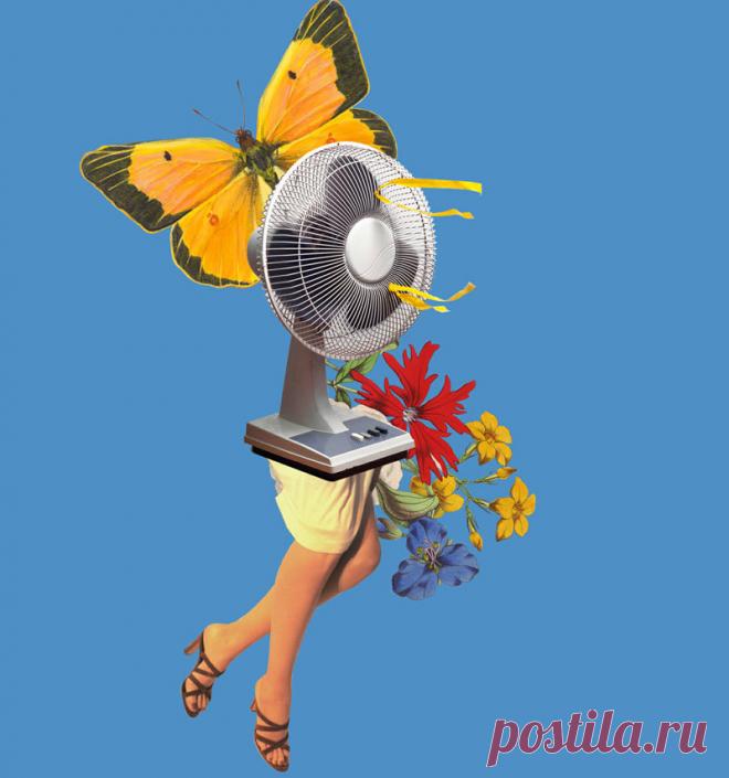 Блог о здоровье | Менопауза: Что необходимо знать женщинам о своем здоровье