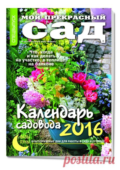 Как лучше "огород городить": идеи и советы от практиков - wig66@mail.ru - Почта Mail.Ru