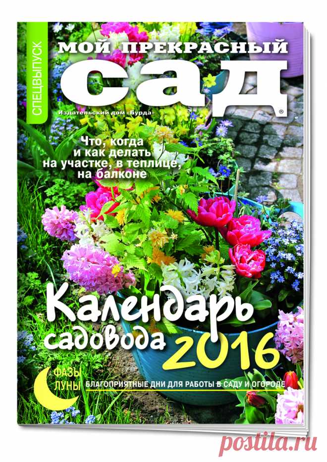 Как лучше "огород городить": идеи и советы от практиков - wig66@mail.ru - Почта Mail.Ru