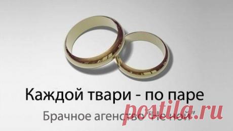 Журнал Мурзилка