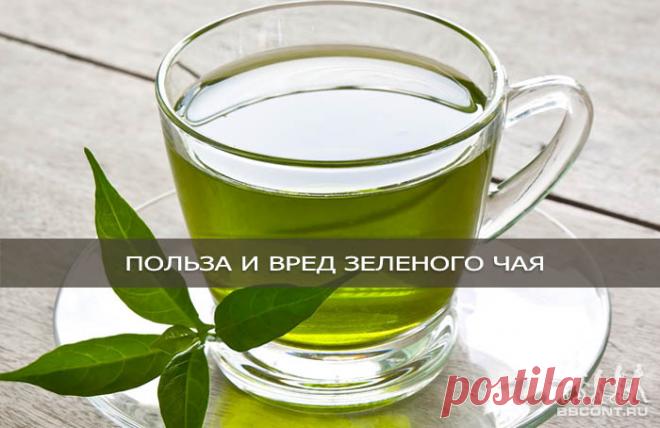Полезные свойства зеленого чая