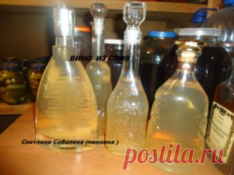 ПРЕДЛАГАЮ ВАМ  РЕЦЕПТ ВКУСНЕЙШЕГО ДОМАШНЕГО ВИНА ИЗ СЛИВ И СМОРОДИНЫ,,,ПОВЕРЬТЕ ВСЕМ ГОВОРЮ  &quot; БОЛГАРИЯ ОТДЫХАЕТ&quot;.. на 15 литров холодной кипяченной воды идет 4 кг слив уже без косточек, 3.6 кг сахара делим на две части  т.е 1.8 кг засыпаем сразу , хорошо перемешиваем, а вторую часть 1.8 снова делим на три части т.е по 0.6 кг......  я  все взвешиваю и по пакетикам... первую часть 0.6 кг высыпать на 4 день, вторую на  7 день, третья часть 0.6 кг на 10 день..чтоб не запутать...