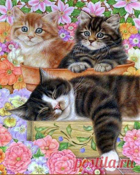 Anne Mortimer.